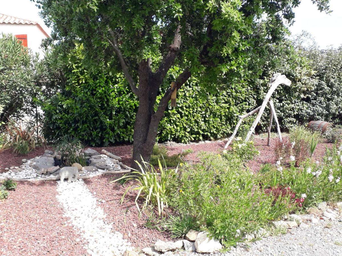 Roquefort-des-Corbières Domaine De La Clotte Bed & Breakfast エクステリア 写真