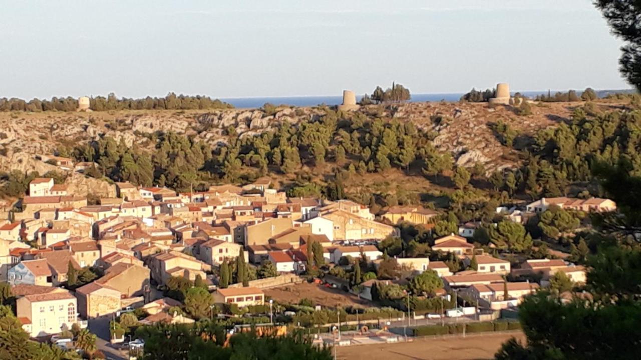 Roquefort-des-Corbières Domaine De La Clotte Bed & Breakfast エクステリア 写真