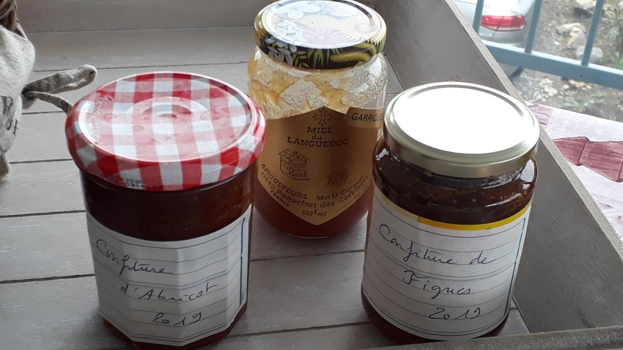 Roquefort-des-Corbières Domaine De La Clotte Bed & Breakfast エクステリア 写真